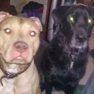 Meet your Posher, Anne